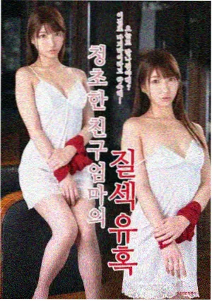 深夜食单动画封面